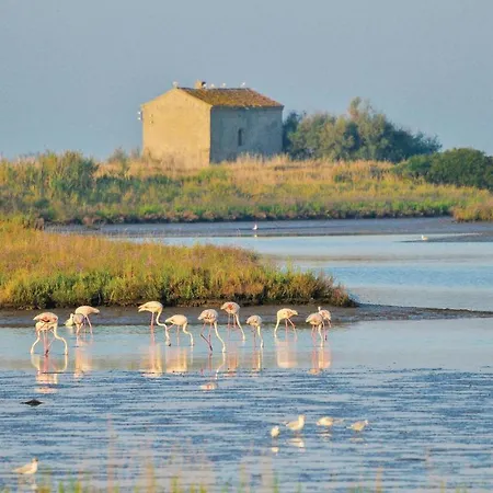 Apartamento Marina 3