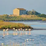 Apartman Marina 3